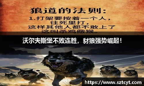 南宫ng28